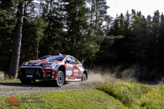 Bauhaus-Royal-Rally-of-Scandinavia-PhotoMS-Media-Agency-3a
