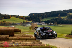 Photoms-Media-Agency-47