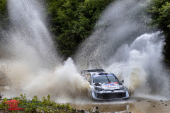 Photoms-Media-Agency-59