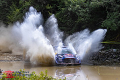 Photoms-Media-Agency-60