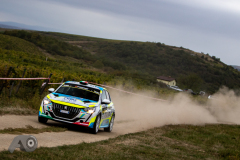 Photo-Adam-Owczarek-__PhotoMS.se_Rally-Hungary-Day-3_-17