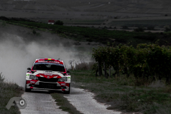 Photo-Adam-Owczarek-__PhotoMS.se_Rally-Hungary-Day-3_-2