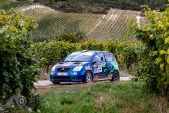 Photo-Adam-Owczarek-__PhotoMS.se_Rally-Hungary-Day-3_-35