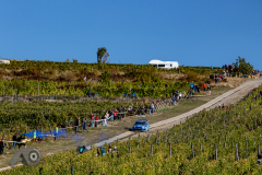 Photo-Adam-Owczarek-__PhotoMS.se_Rally-Hungary-Day-3_-56