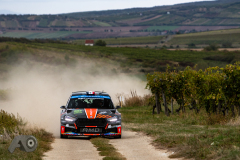 Photo-Adam-Owczarek-__PhotoMS.se_Rally-Hungary-Day-3_30