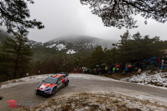 Photoms-Media-Agency-41