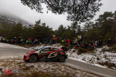 Photoms-Media-Agency-42