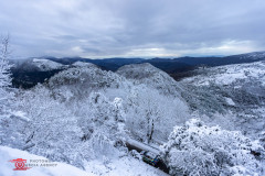 Photoms-Media-Agency-84