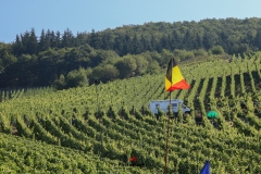WRC Deutschland ´15 - 045-45