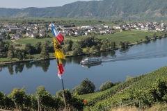 WRC Deutschland ´15 - 064-64