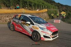 WRC Deutschland ´15 - 161-161