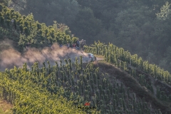 WRC Deutschland ´15 - 224-224