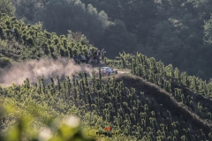 WRC Deutschland ´15 - 238-238