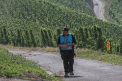 WRC Deutschland ´15 - 260-260