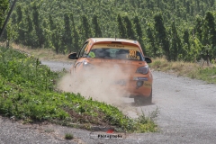 WRC Deutschland ´15 - 262-262