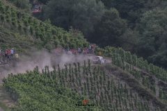 WRC Deutschland ´15 - 273-273