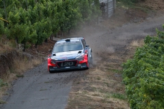 ADAC Rally Deutschland 2016-49