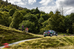 Photoms-Media-Agency-46