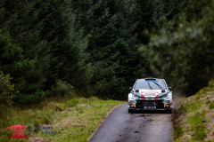 Photoms-Media-Agency-60