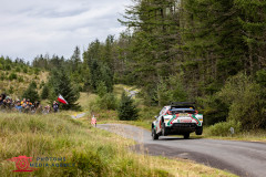 Photoms-Media-Agency-61