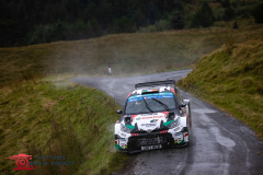 Photoms-Media-Agency-74