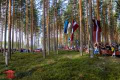 Photoms-Media-Agency-26