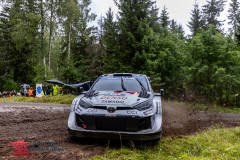 Photoms-Media-Agency-51