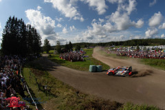 Photoms-Media-Agency-65