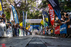 Rally-Islas-Canarias-2024-PhotoMs-Media-Agency-4b