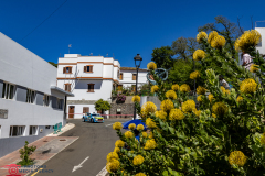 Rally-Islas-Canarias-2024-PhotoMs-Media-Agency-5a