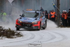 IMG_0262 (1600x1067)