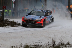 IMG_0267 (1600x1067)