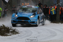 IMG_0274 (1600x1067)