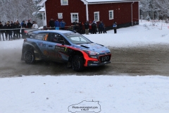 IMG_1042 (1600x1067)