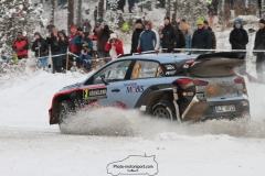 IMG_1342 (1600x1067)