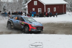 IMG_1625 (1600x1067)