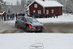 IMG_1648 (1600x1067)