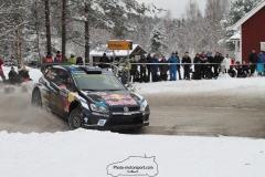 IMG_1701 (1600x1067)