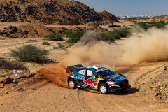 Photoms-Media-Agency-46