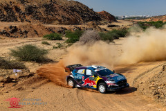 Photoms-Media-Agency-47