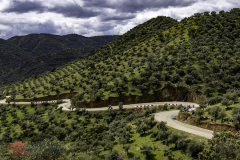 1_Photoms-Media-Agency-Rally-Sierra-Morena-2025-19