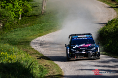 1_WRC-Croatian-Rally-4b