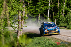 WRC-Croatian-Rally-9b