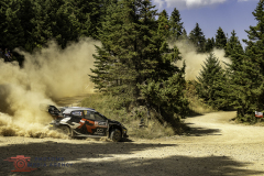 1_PhotoMs-Media-Agency-EKO-Acropolis-9