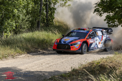 2_WRC-Rally-Poland-PhotoMS-Media-Agency-15