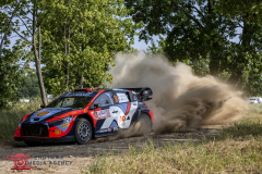 3_WRC-Rally-Poland-PhotoMS-Media-Agency-3